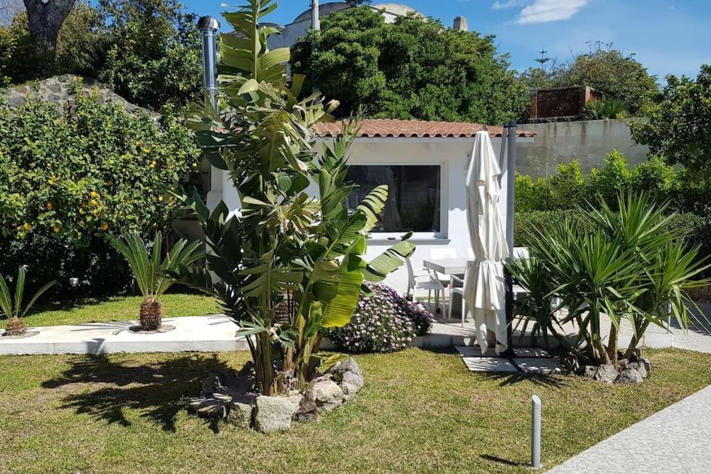 Casa Vacanza M&C Ischia Forio  Luaran gambar