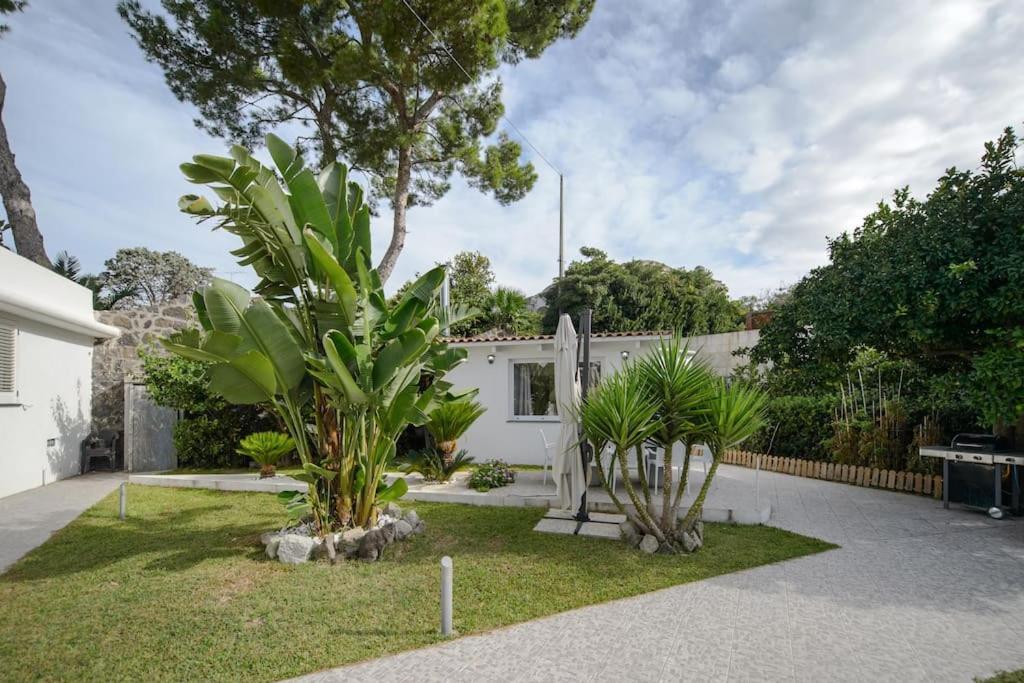 Casa Vacanza M&C Ischia Forio  Luaran gambar