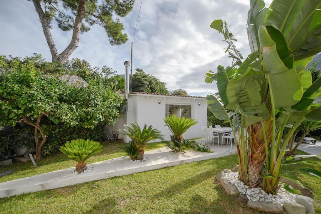 Casa Vacanza M&C Ischia Forio  Luaran gambar